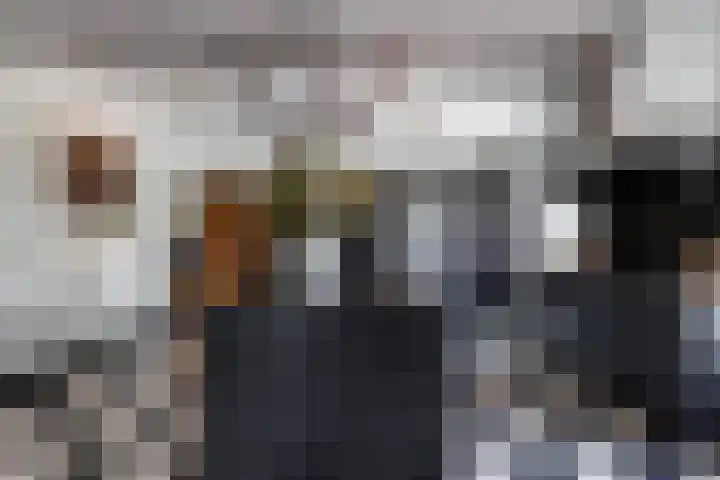 Gerverscop 7 Harmelen thumbnail 8