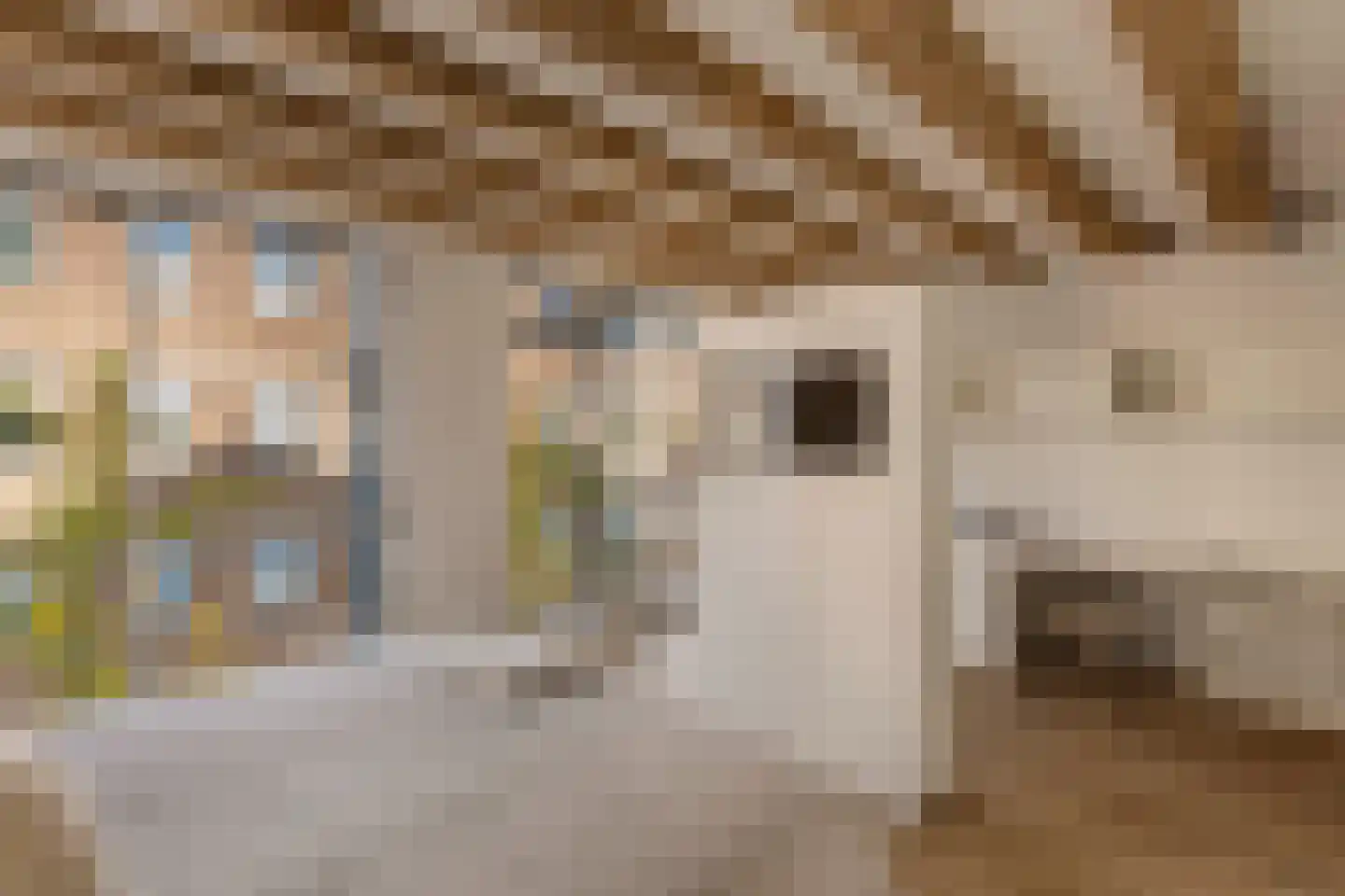 Geschutswerf 57 Amsterdam thumbnail 20