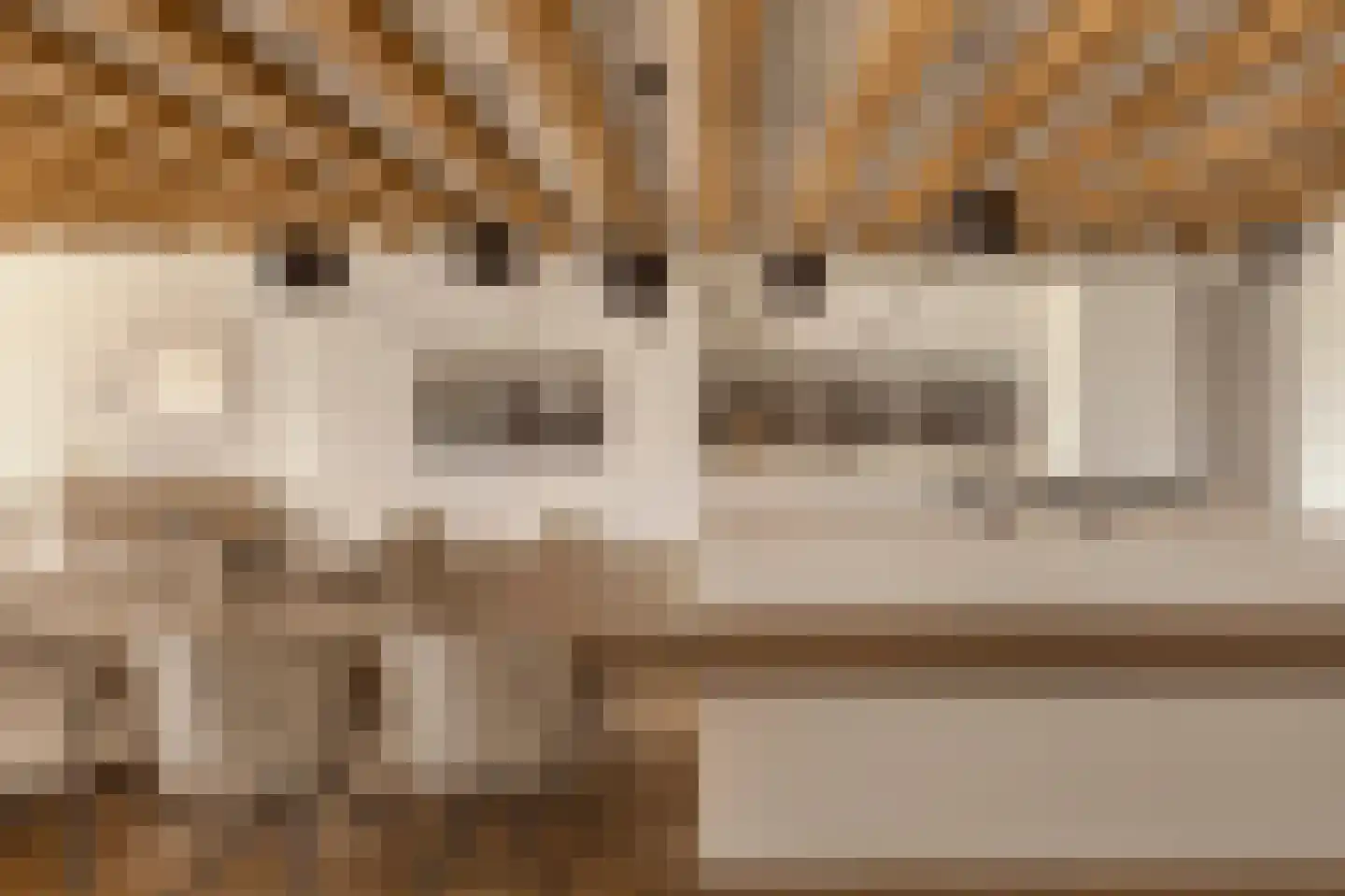 Geschutswerf 57 Amsterdam thumbnail 7