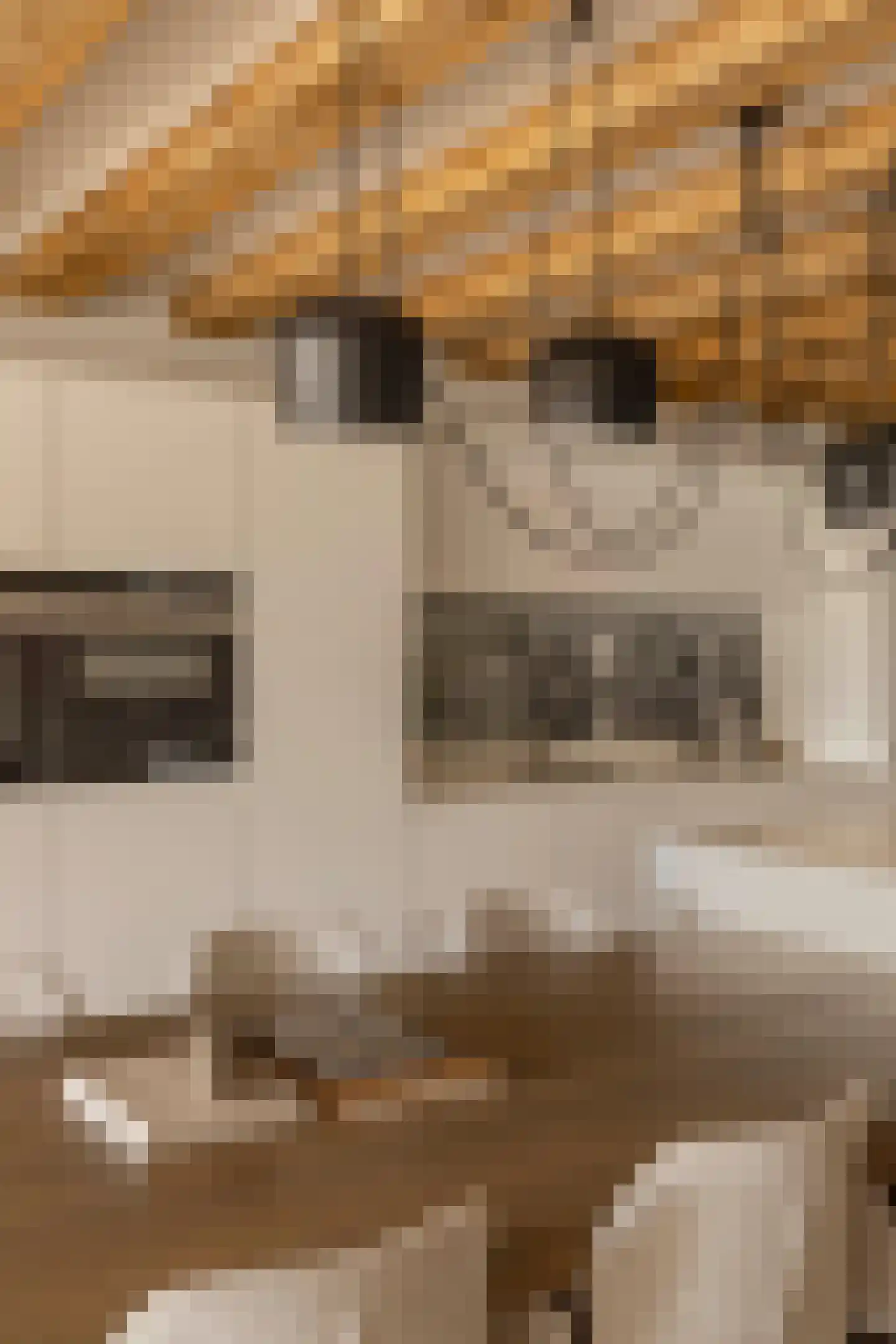 Geschutswerf 57 Amsterdam thumbnail 8