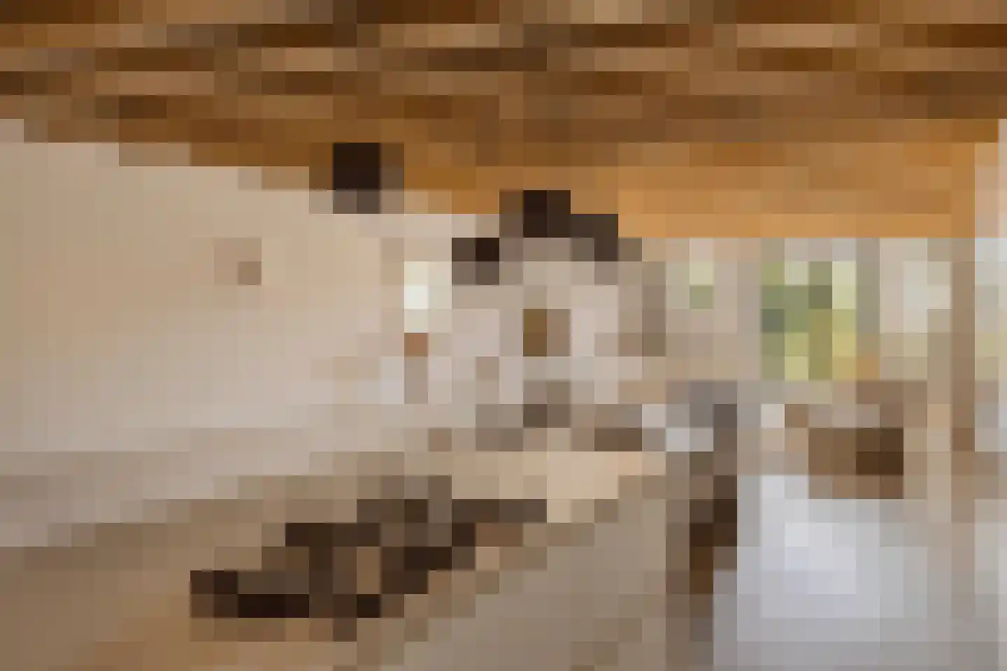 Geschutswerf 57 Amsterdam thumbnail 9