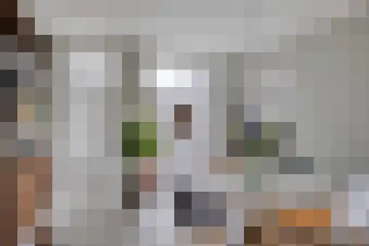 Gestelsestraat 193 Eindhoven thumbnail 15
