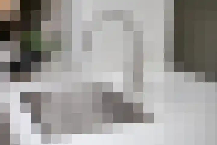 Gestelsestraat 193 Eindhoven thumbnail 22