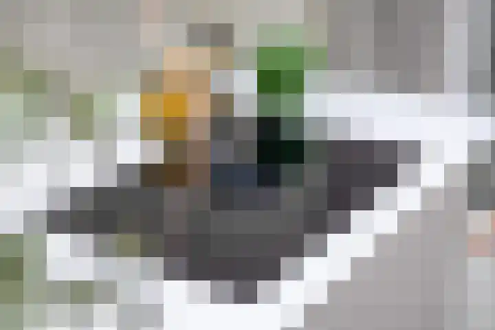 Gestelsestraat 193 Eindhoven thumbnail 23