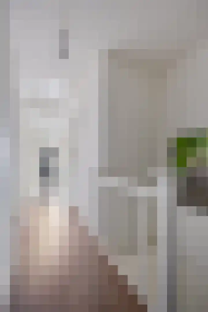 Gestelsestraat 193 Eindhoven thumbnail 26