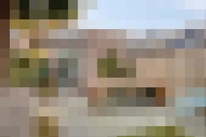 Gestelsestraat 193 Eindhoven thumbnail 34