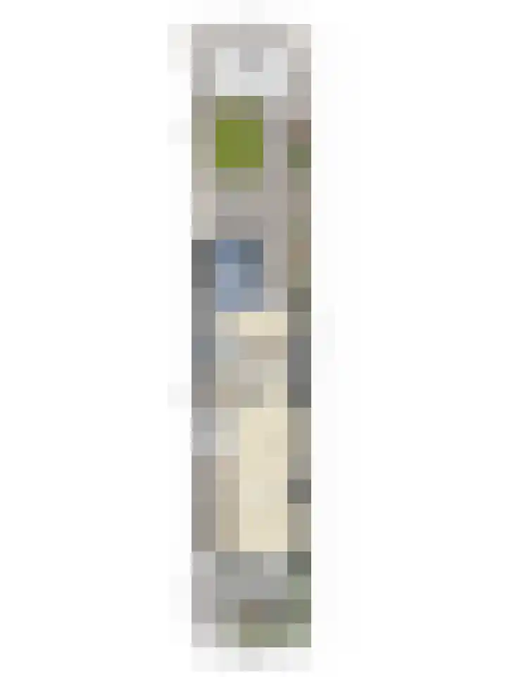 Gestelsestraat 193 Eindhoven thumbnail 38