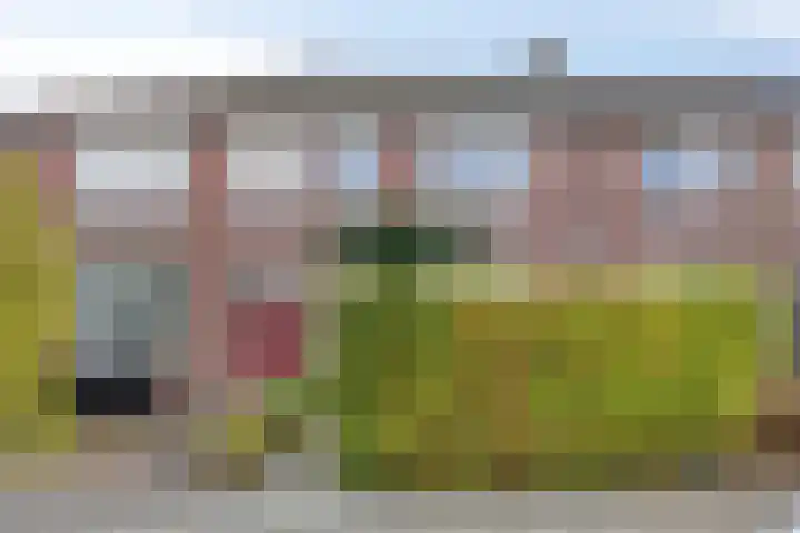 Gestelsestraat 193 Eindhoven thumbnail 4