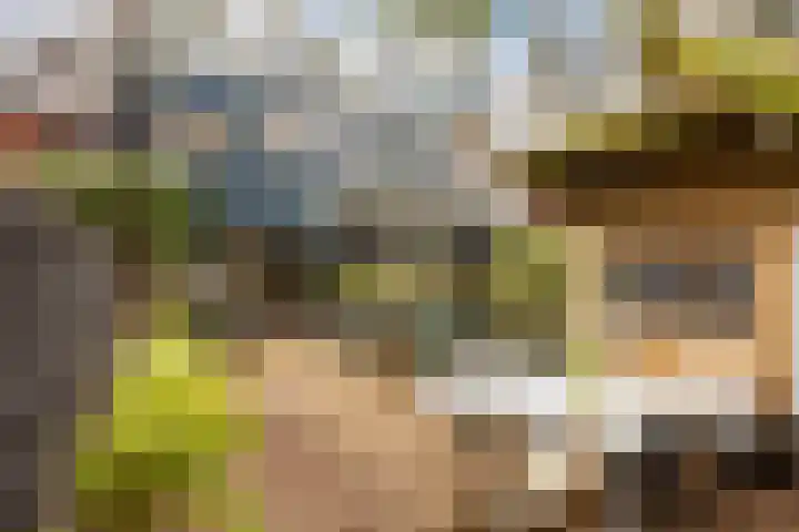 Getfertsingel 109 Enschede thumbnail 37