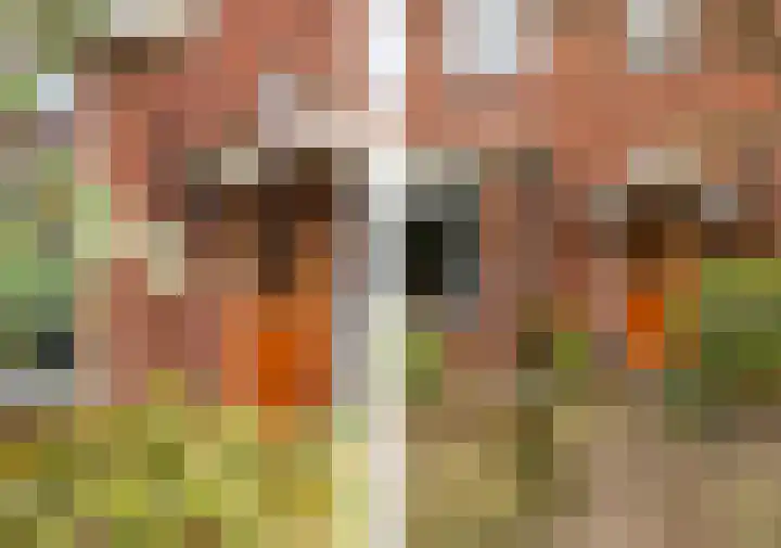 Getfertsingel 109 Enschede thumbnail 38