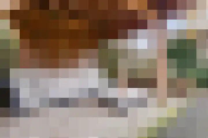 Getfertsingel 73 Enschede thumbnail 37