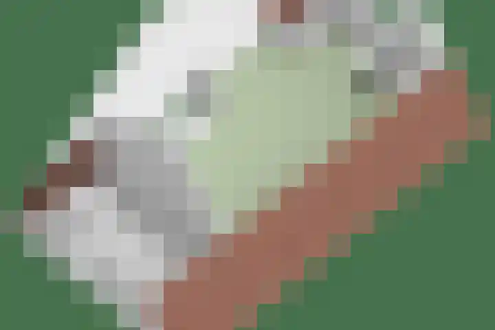 Getfertweg 223 Enschede thumbnail 39