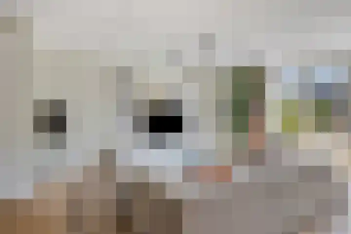 Getfertweg 223 Enschede thumbnail 8