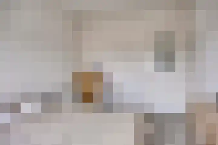 Getfertweg 304 Enschede thumbnail 17