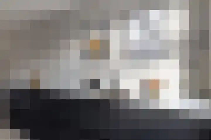 Getij 9 Alkmaar thumbnail 15