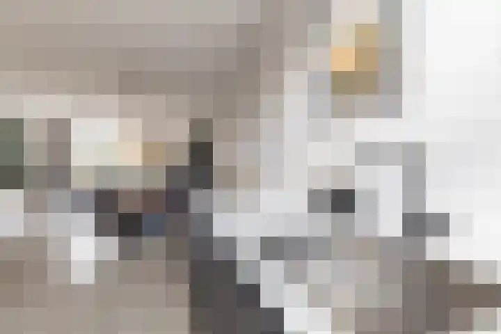 Getij 9 Alkmaar thumbnail 16