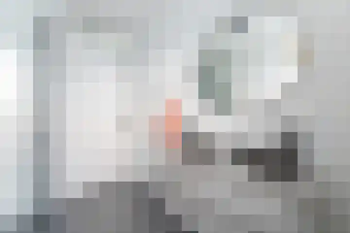 Getij 9 Alkmaar thumbnail 31