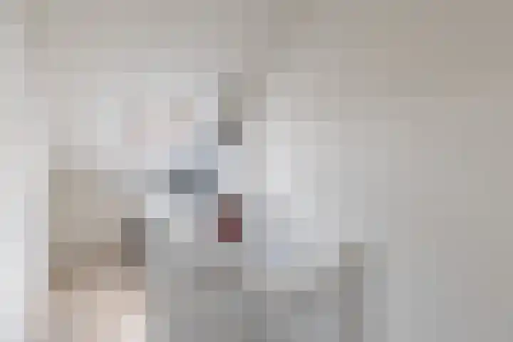 Getij 9 Alkmaar thumbnail 33