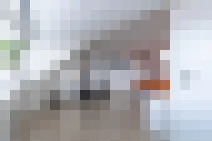 Getij 9 Alkmaar thumbnail 34