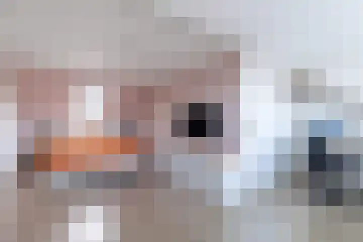 Getij 9 Alkmaar thumbnail 35