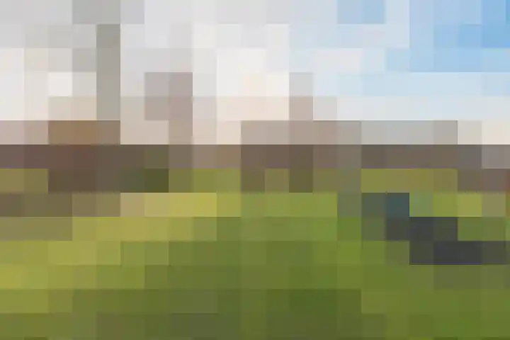 Getij 9 Alkmaar thumbnail 51