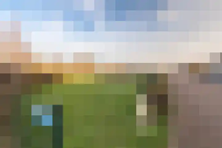 Getij 9 Alkmaar thumbnail 53