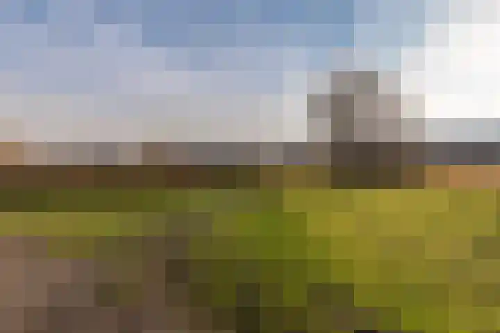 Getij 9 Alkmaar thumbnail 54