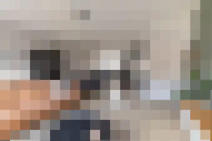 Getij 9 Alkmaar thumbnail 6