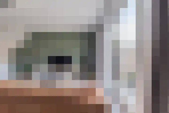 Getij 9 Alkmaar thumbnail 8