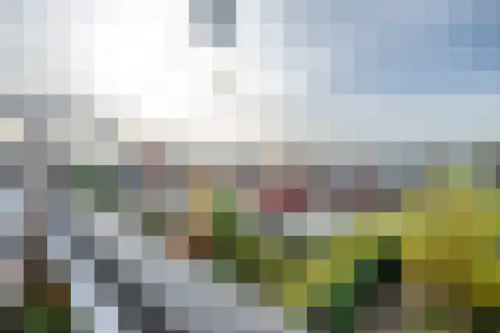 Getijdewater 3 Houten thumbnail 23