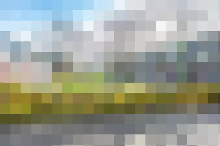 Getijdewater 3 Houten thumbnail 30