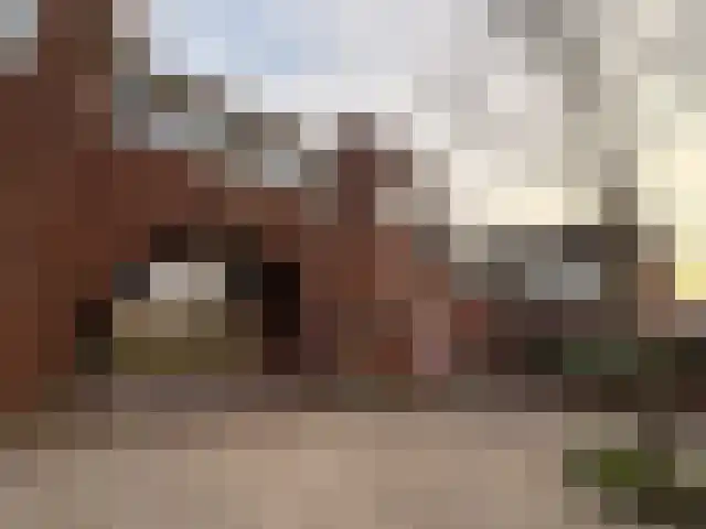 Getijdewater 3 Houten thumbnail 6