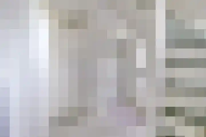 Getijdewater 3 Houten thumbnail 8