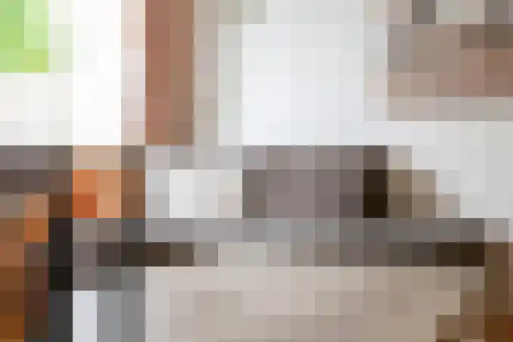 Getijmolenerf 1 Gouda thumbnail 14