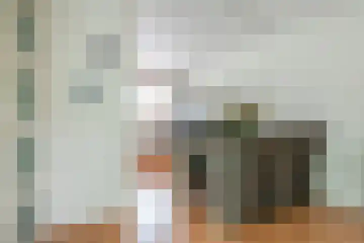 Getijmolenerf 1 Gouda thumbnail 16