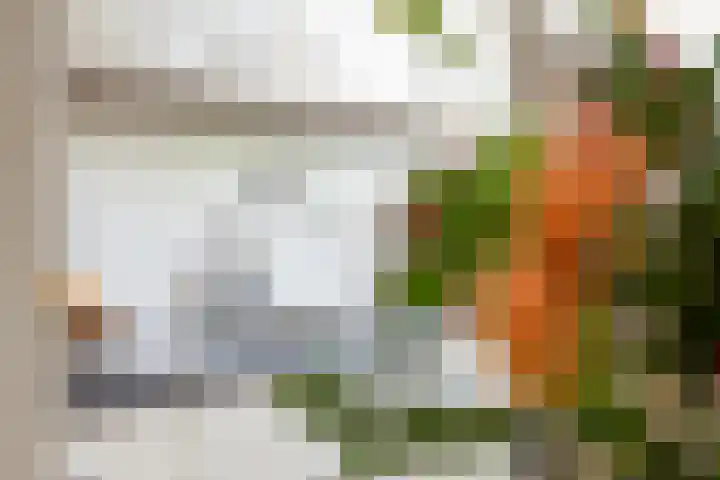 Getijmolenerf 1 Gouda thumbnail 22
