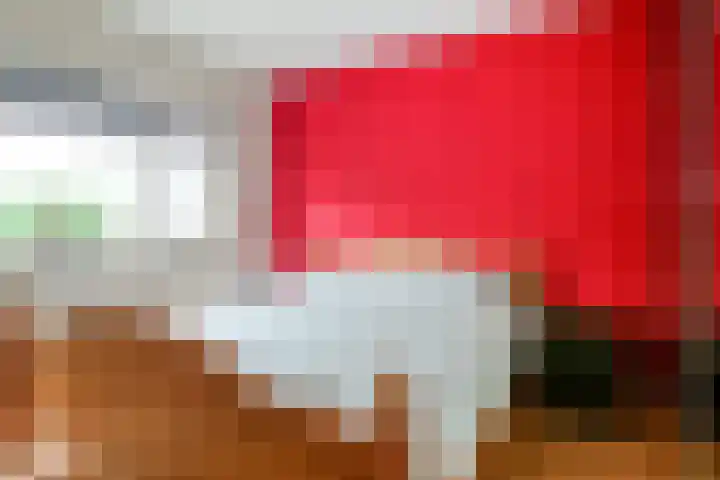 Getijmolenerf 1 Gouda thumbnail 26