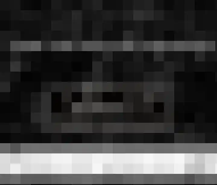 Getijmolenerf 1 Gouda thumbnail 5
