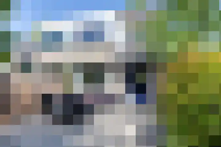 Getijmolenerf 1 Gouda thumbnail 51