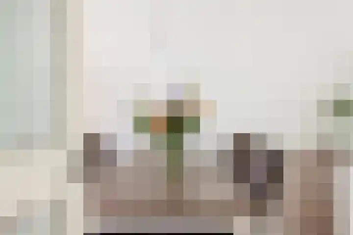 Getijmolenerf 1 Gouda thumbnail 8