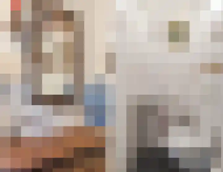 Getijmolenerf 155 Gouda thumbnail 10