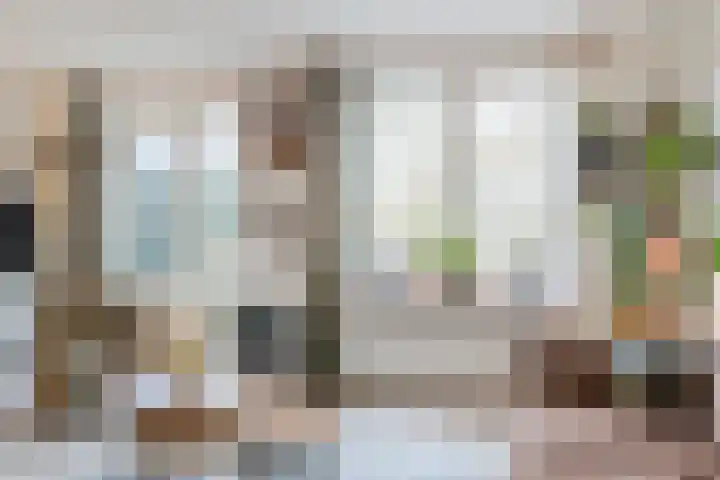 Getijmolenerf 155 Gouda thumbnail 13