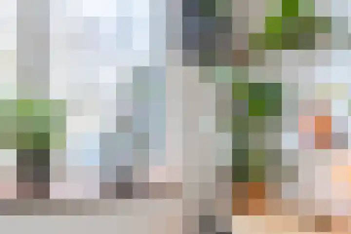 Getijmolenerf 155 Gouda thumbnail 15