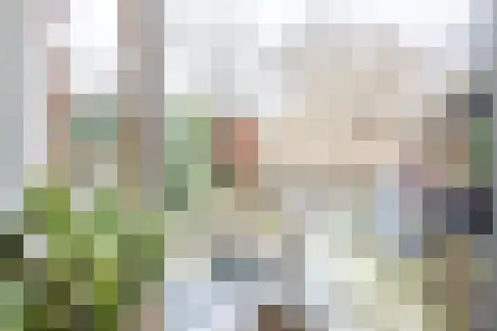 Getijmolenerf 155 Gouda thumbnail 16