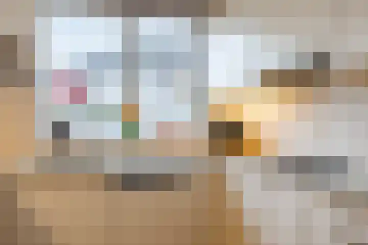Getijmolenerf 155 Gouda thumbnail 19