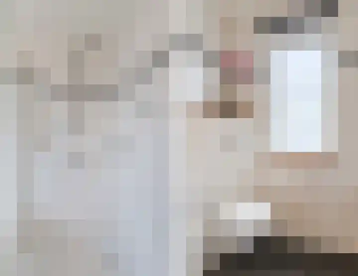 Getijmolenerf 155 Gouda thumbnail 23