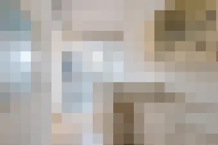 Getijmolenerf 155 Gouda thumbnail 29