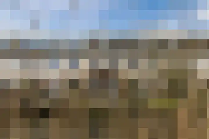 Getijmolenerf 155 Gouda thumbnail 32
