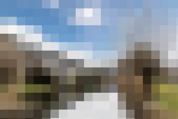 Getijmolenerf 155 Gouda thumbnail 34