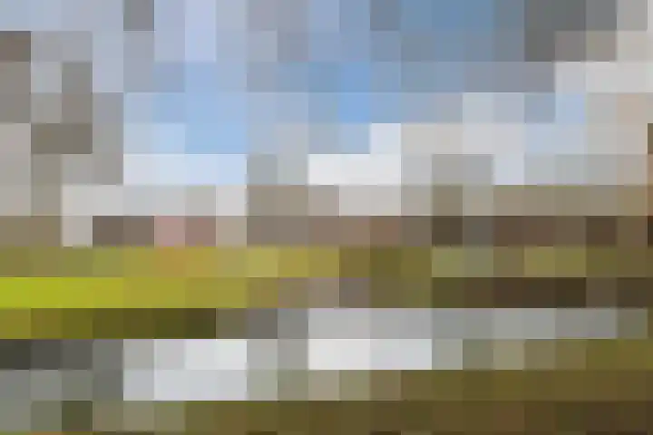 Getijmolenerf 155 Gouda thumbnail 39
